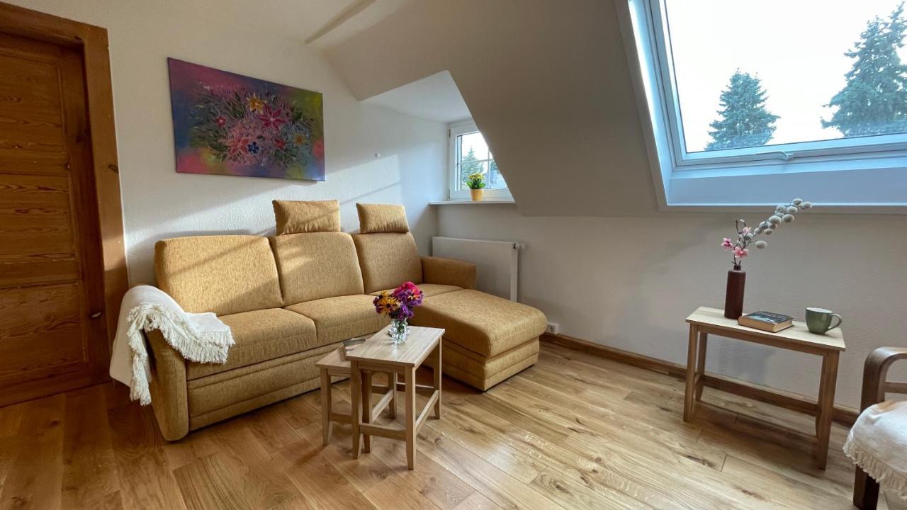 Appartement Carolinga à Dresde Extérieur photo